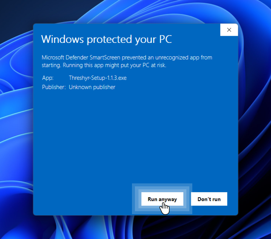 The expanded SmartScreen dialog showing the app name and publisher, with the Run anyway button highlighted